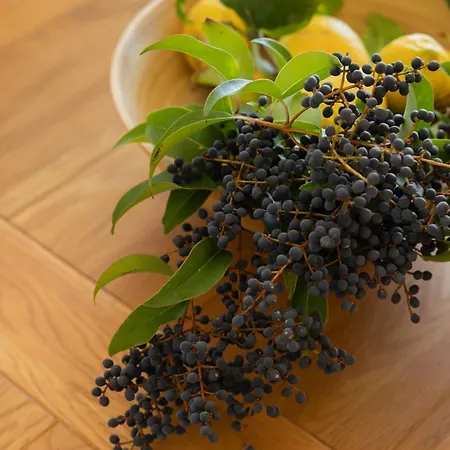 Casa vacanze Themis Lakíthra